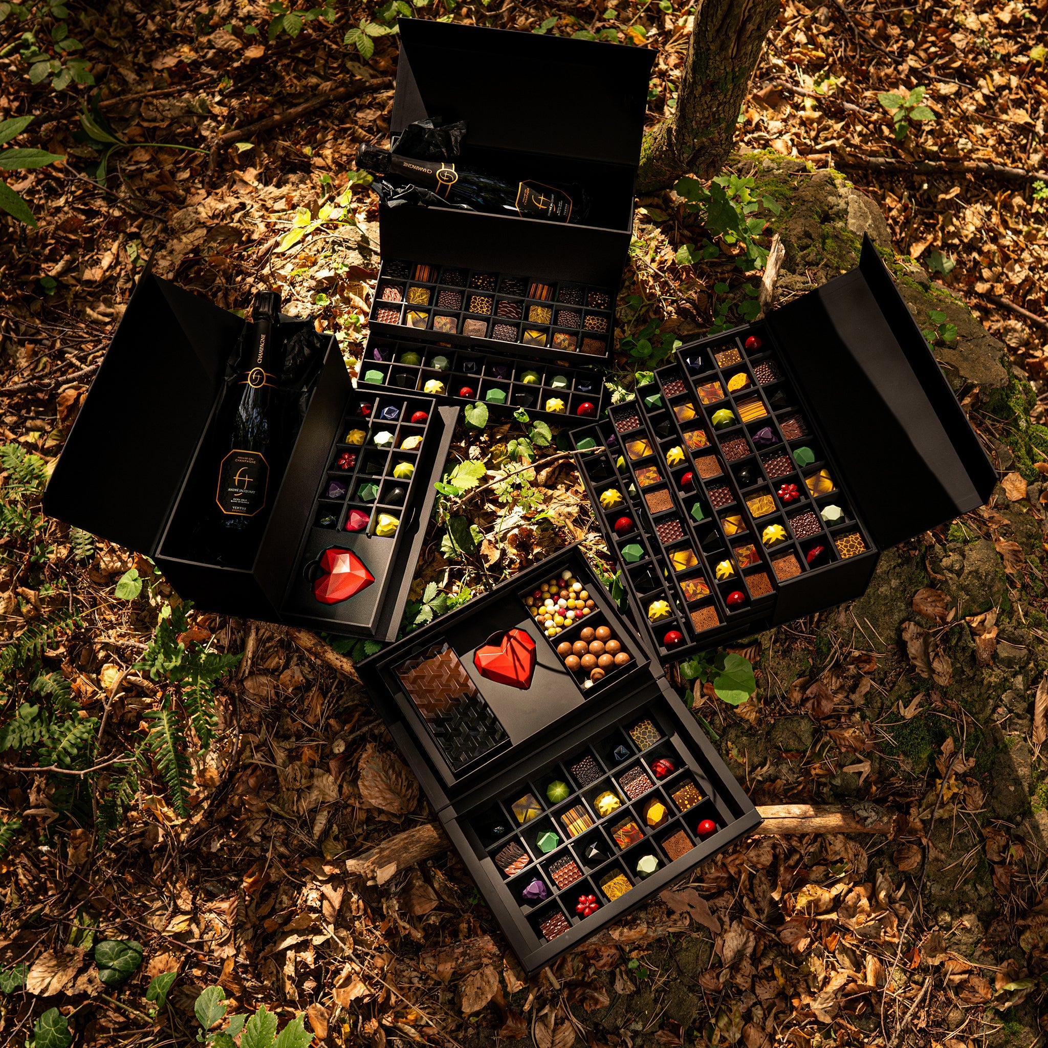 celebration boxes with diverse chocolate bonbons 